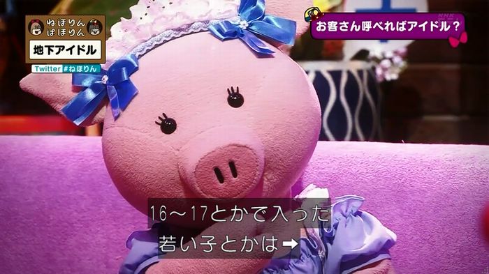 ねほりん 地下アイドル回のキャプ251