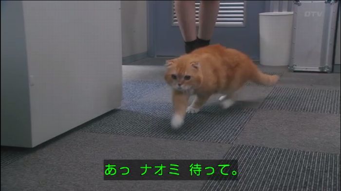 161