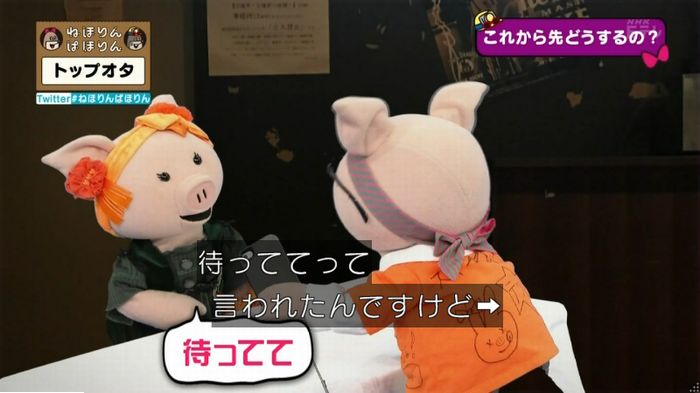 ねほりんぱほりんのキャプ478