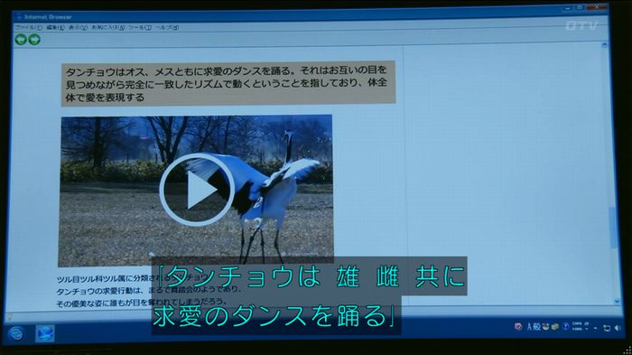 人は見た目が100パーセントのキャプ463