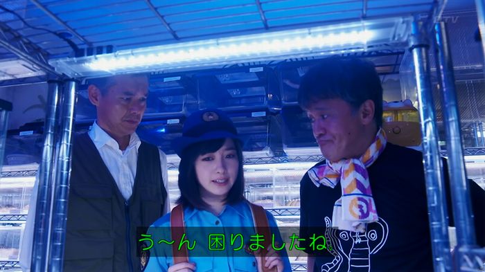 いきもの係 3話のキャプ546