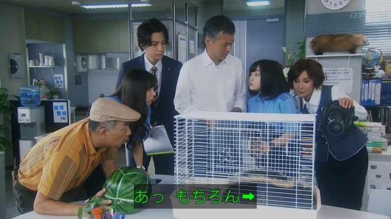 いきもの係 4話のキャプ114