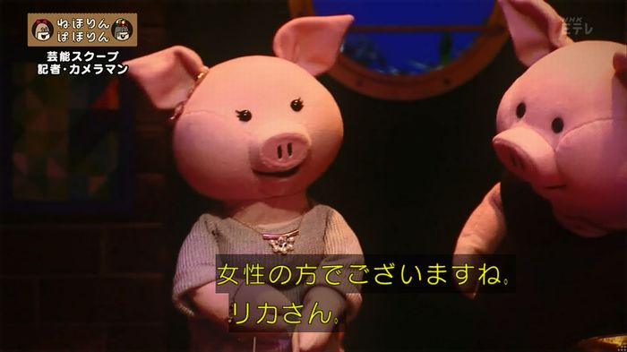 ねほりん 芸能スクープ回のキャプ18