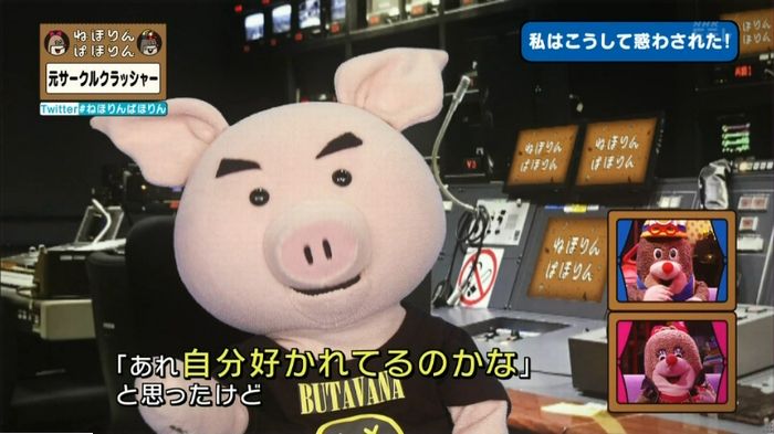 ねほりんぱほりん サークルクラッシャーのキャプ240