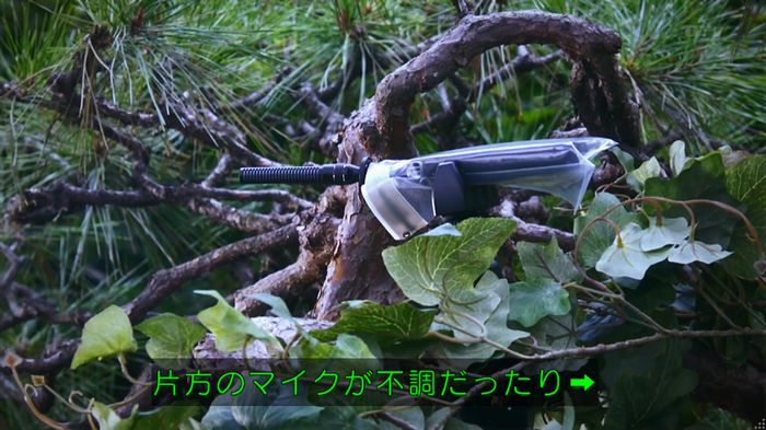 警視庁いきもの係 8話のキャプ651
