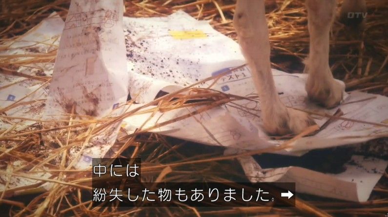 いきもの係 4話のキャプ354