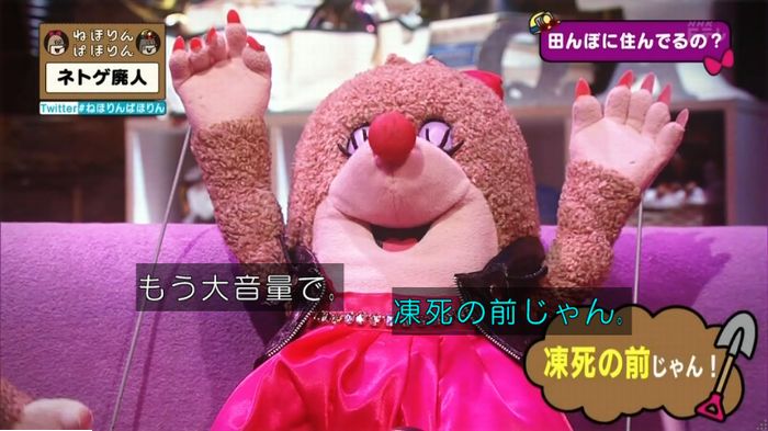 ねほりんネトゲ廃人のキャプ132
