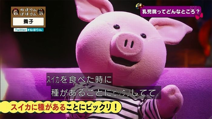 ねほりん 養子回のキャプ49