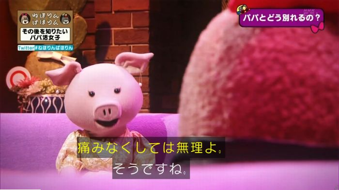 ねほりんぱほりんのキャプ232