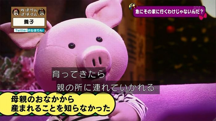 ねほりん 養子回のキャプ67