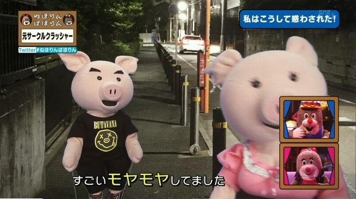 ねほりんぱほりん サークルクラッシャーのキャプ243