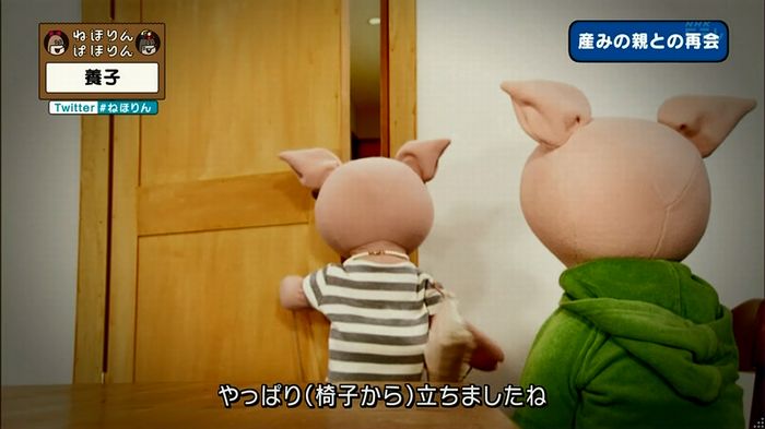 ねほりん 養子回のキャプ316