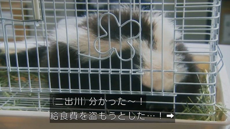 いきもの係 4話のキャプ147