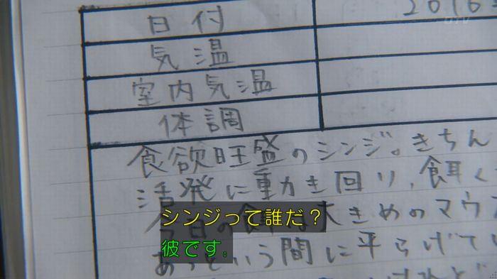 いきもの係 3話のキャプ238