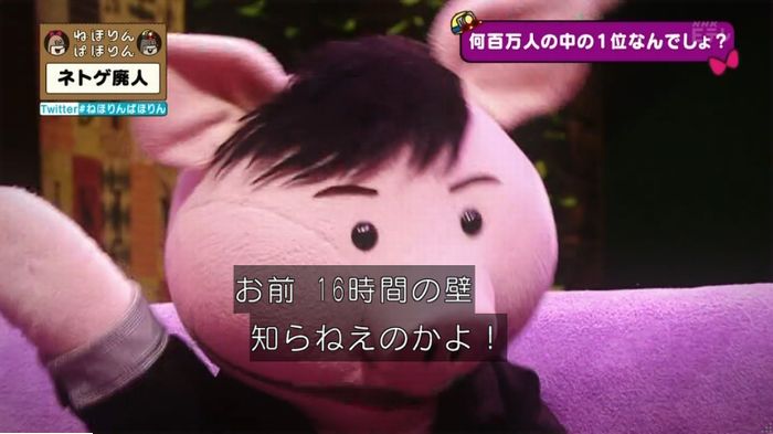 ねほりんネトゲ廃人のキャプ196