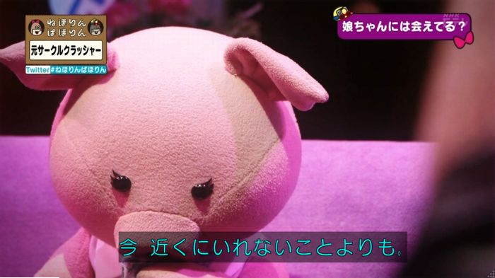 ねほりんぱほりん サークルクラッシャーのキャプ487