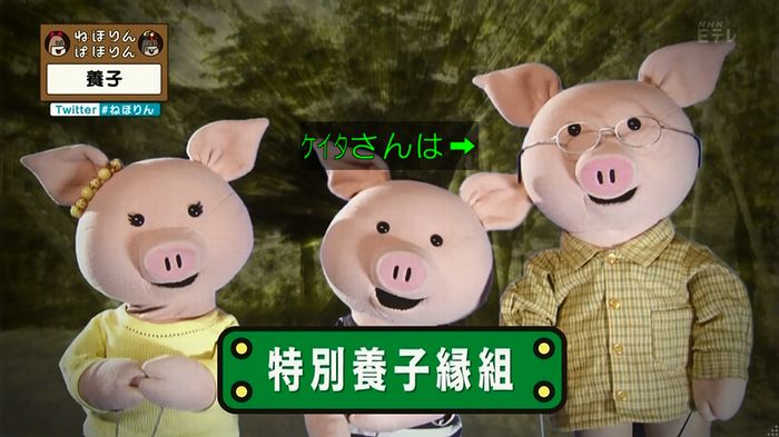 ねほりん 養子回のキャプ28