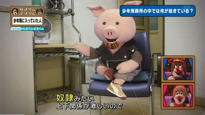 ねほりんぱほりんのキャプ163