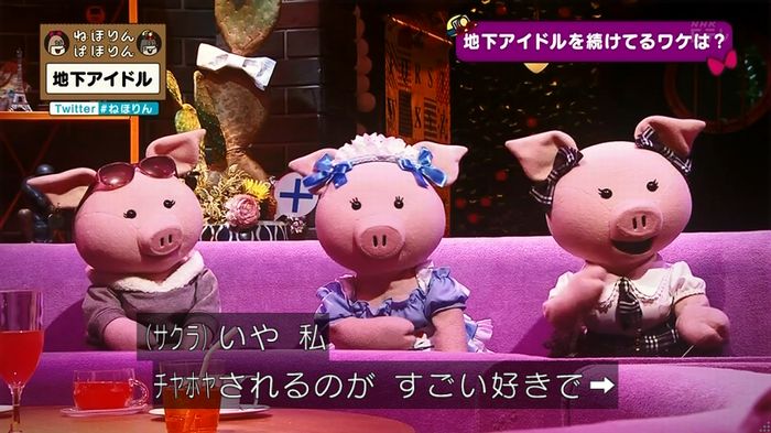 ねほりん 地下アイドル後編のキャプ431