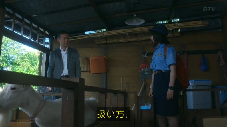いきもの係 4話のキャプ447