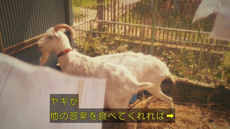 いきもの係 4話のキャプ800