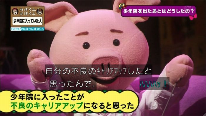 ねほりんぱほりんのキャプ182