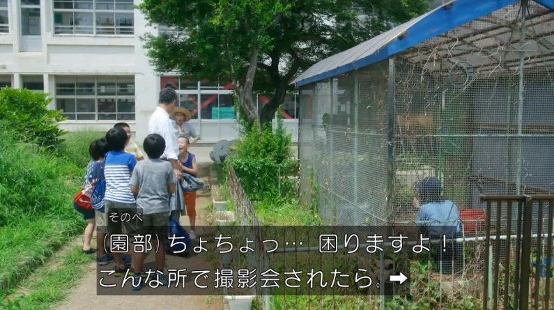 いきもの係 4話のキャプ335