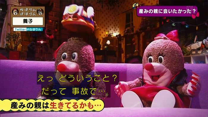 ねほりん 養子回のキャプ285