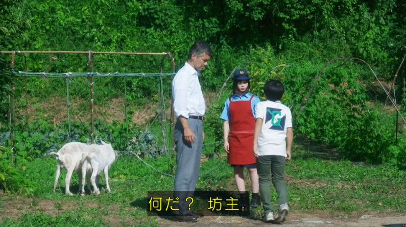 いきもの係 4話のキャプ267