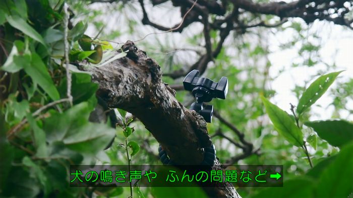 警視庁いきもの係 8話のキャプ499