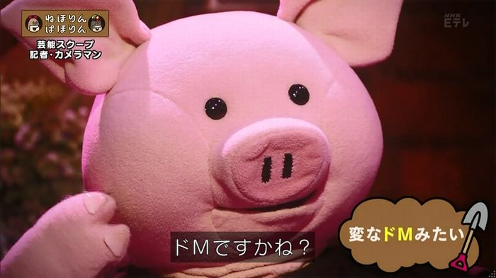 ねほりん 芸能スクープ回のキャプ234