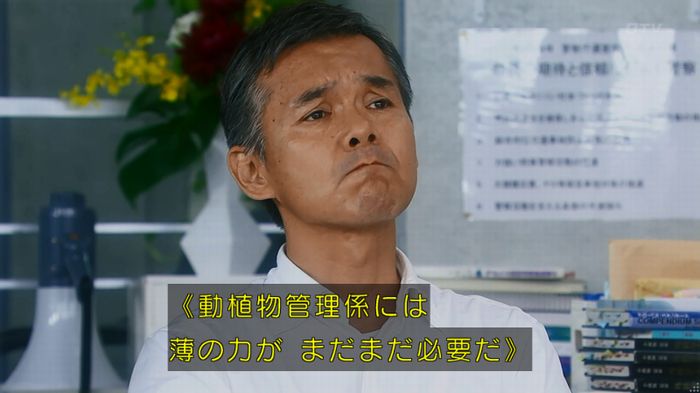 警視庁いきもの係 8話のキャプ839