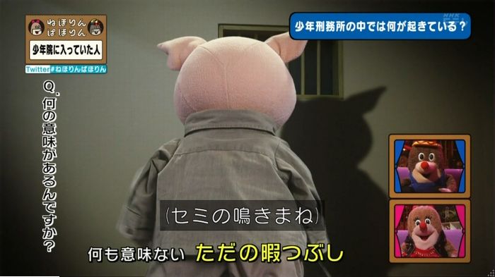 ねほりんぱほりんのキャプ174