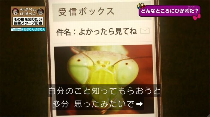 ねほりんぱほりんのキャプ401