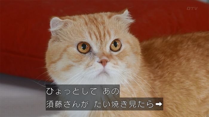 いきもの係 6話のキャプ3