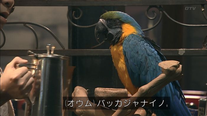 嘘の戦争のキャプ64