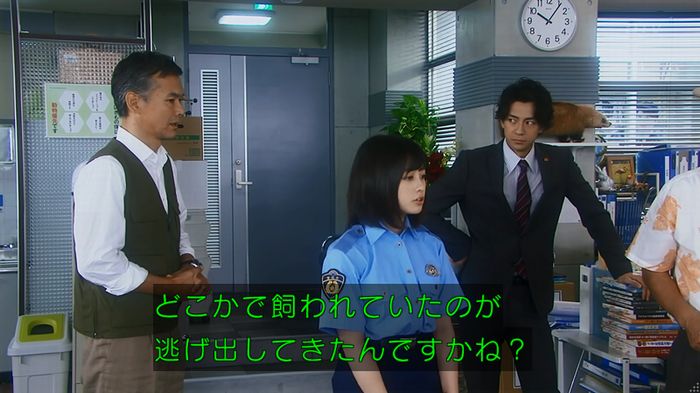 警視庁いきもの係 8話のキャプ70
