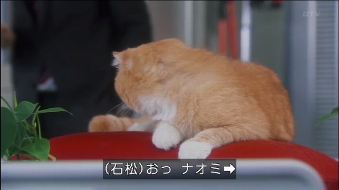 524