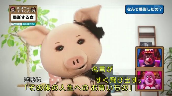 ねほりんぱほりんのキャプ156