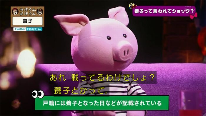 ねほりん 養子回のキャプ104