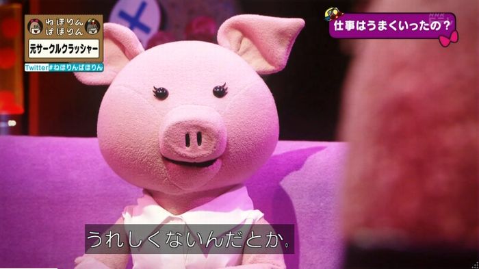 ねほりんぱほりん サークルクラッシャーのキャプ367