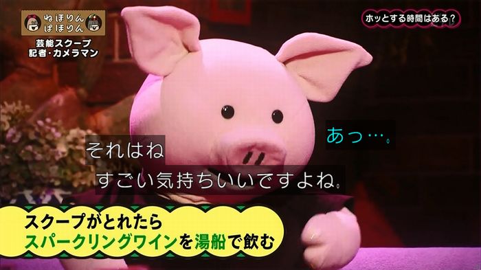 ねほりん 芸能スクープ回のキャプ427