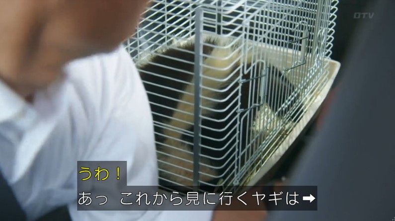 いきもの係 4話のキャプ181