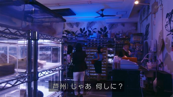 いきもの係 3話のキャプ512