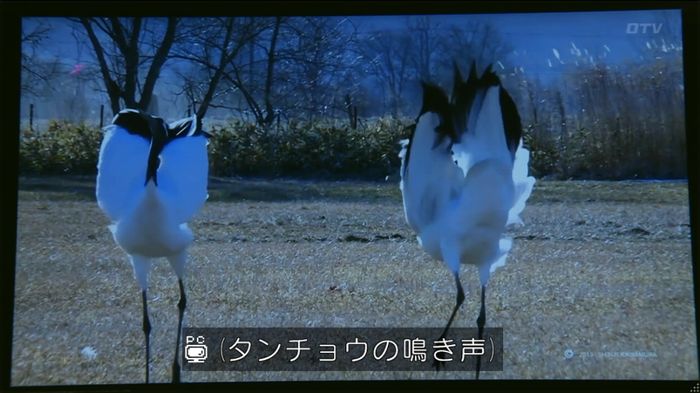 人は見た目が100パーセントのキャプ466