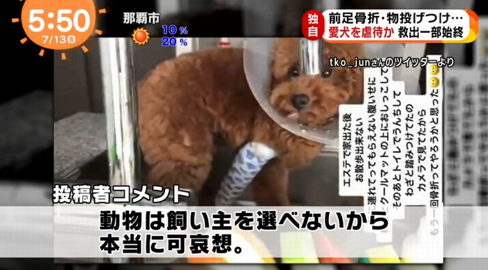 めざましテレビのキャプ3