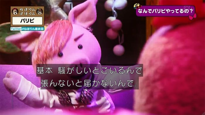 ねほりん 最終回のキャプ226