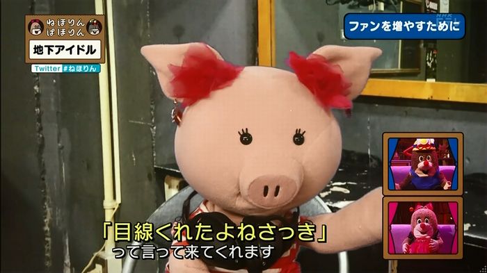 ねほりん 地下アイドル回のキャプ368