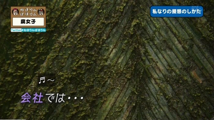 ねほりん腐女子回のキャプ329