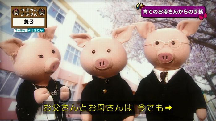 ねほりん 養子回のキャプ420